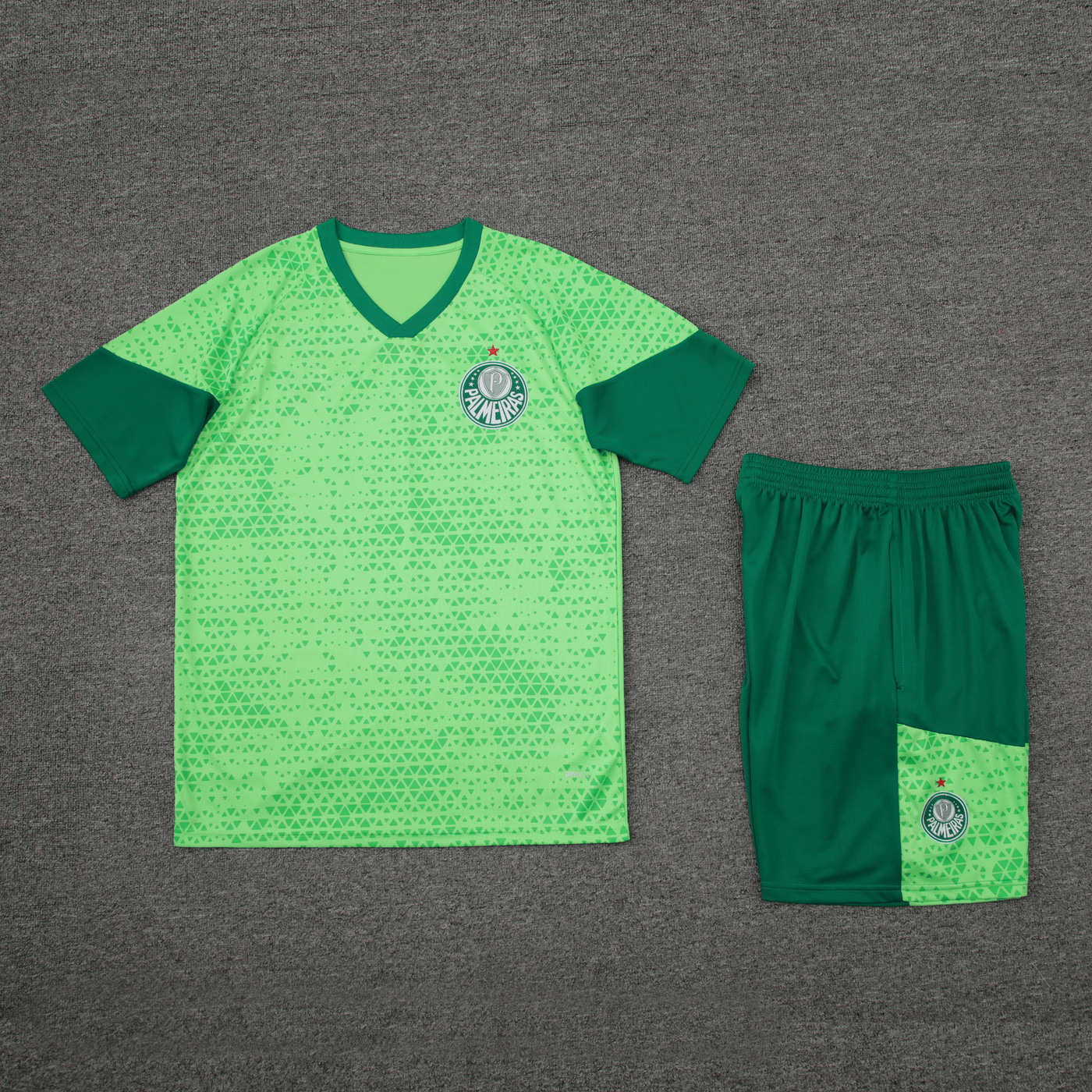 Kit Entraînement Adulte Palmeiras 24/25